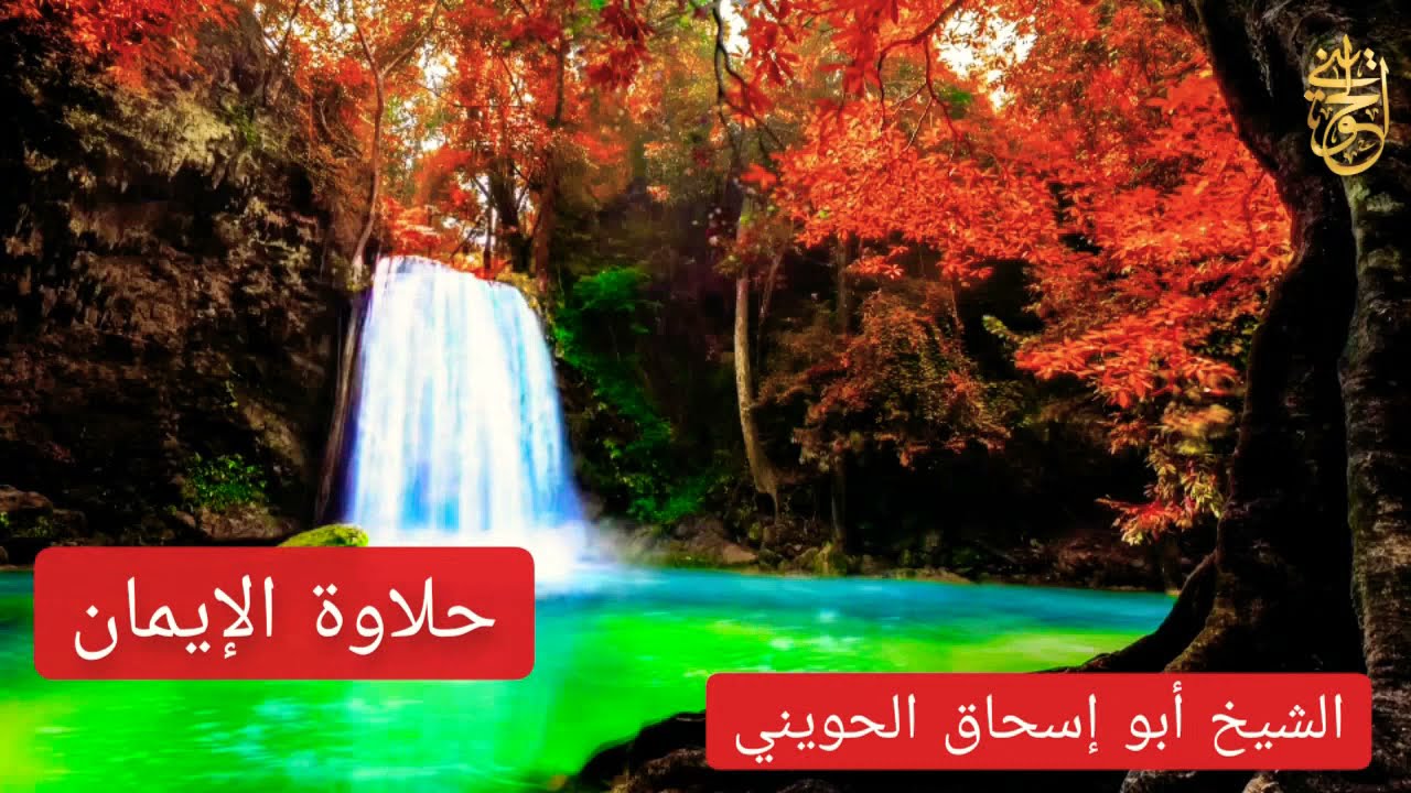 حلاوة الإيمان | درس نادر للشيخ الحويني