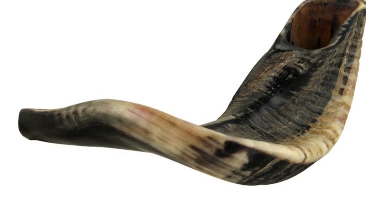 Shofar Desde Israel  Para Ti desde kolseller.com