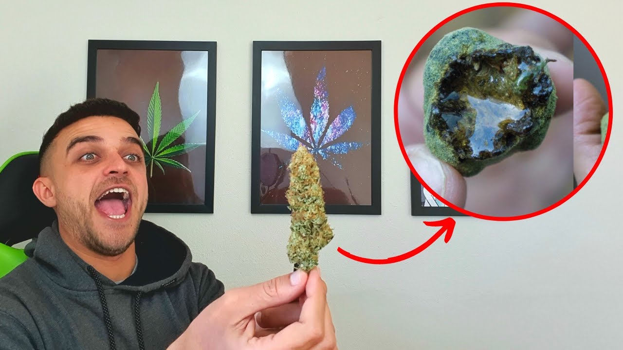 Como aumentar a pot&ecirc;ncia das suas flores lindas e resinadas