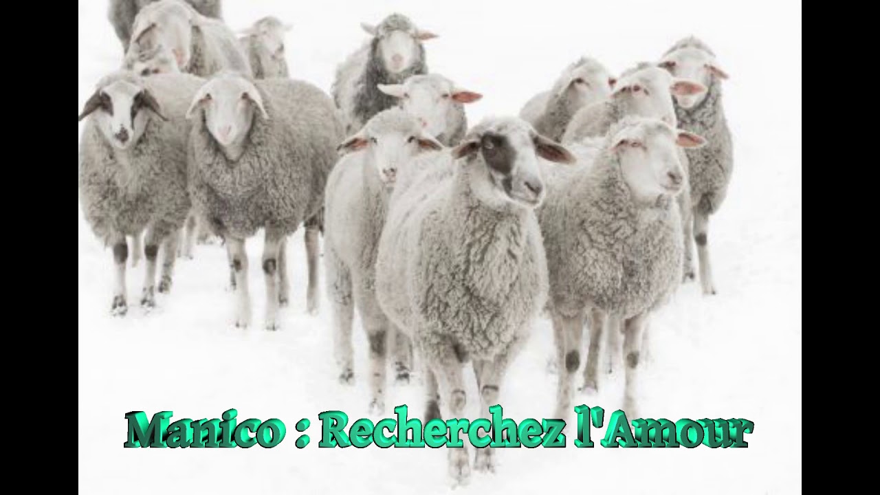 Pasteur Manico: Recherchez l'Amour