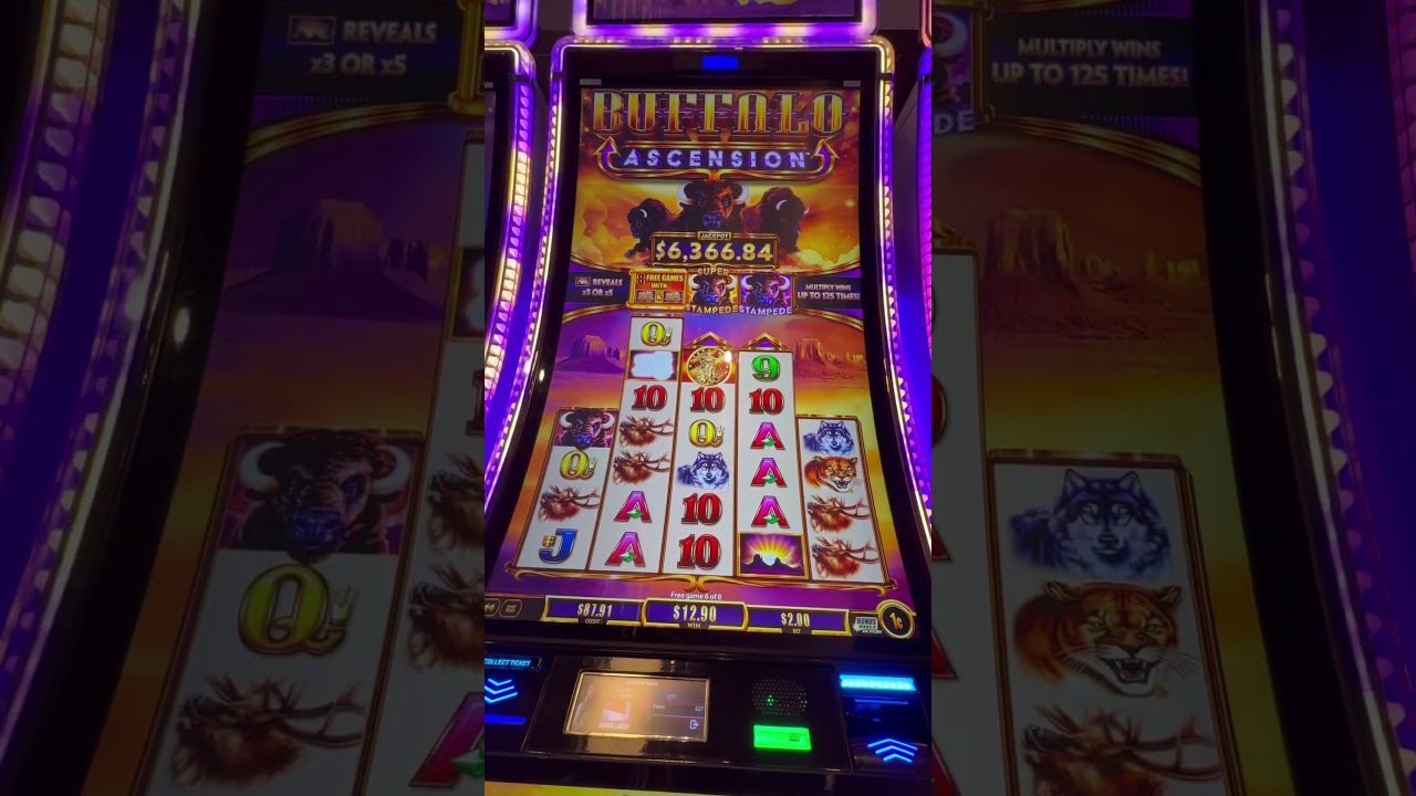 Buffalo Ascension Free game bonus 3x 5x multiplier $$$ #slot #lowrollerslots