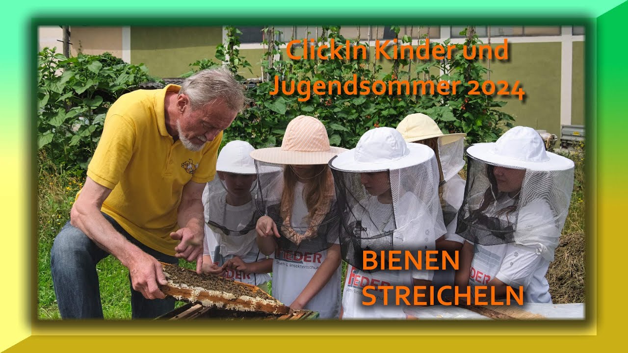 ClickIn: BIENEN STREICHELN