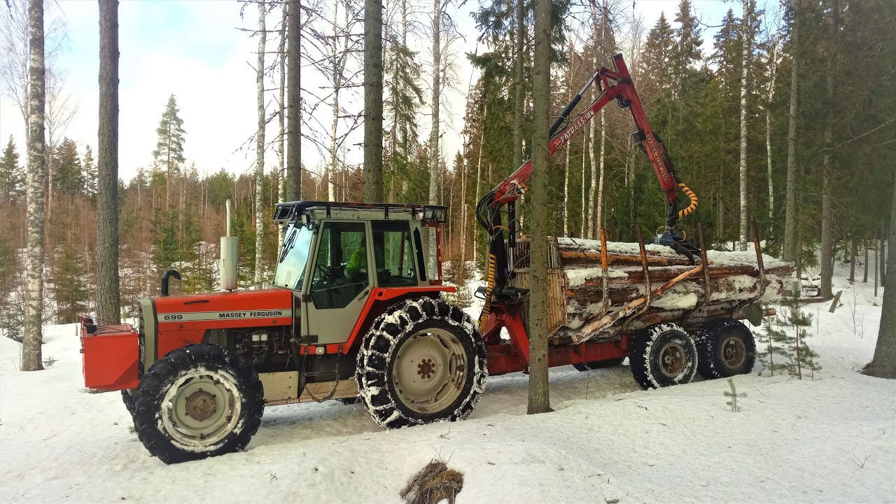 Massey Ferguson 699 pystykuivien keräilyä, osa 2/3.🌲🌲🌲