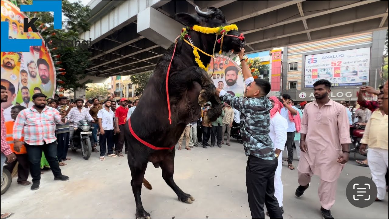 Hyderabad Sadar Festival | Anjan Kumar Yadav | Laddu Yadav | Sadar Sammelanam at NTR Stadium #sadar