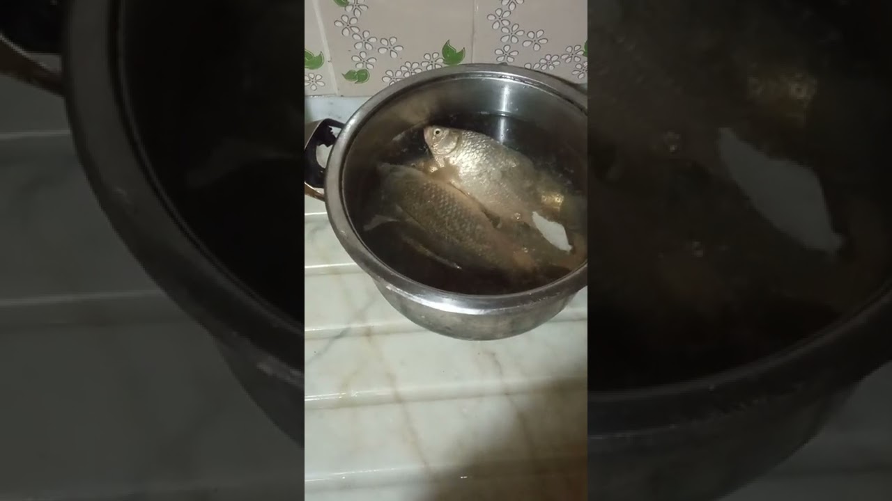 Cooking live fish in hot water