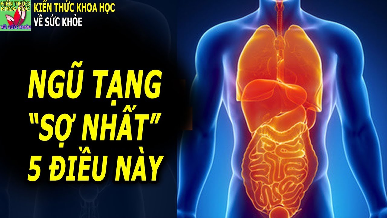 Ngũ tạng khỏe mạnh bí quyết chăm sóc ngũ tạng đúng cách mỗi ngày