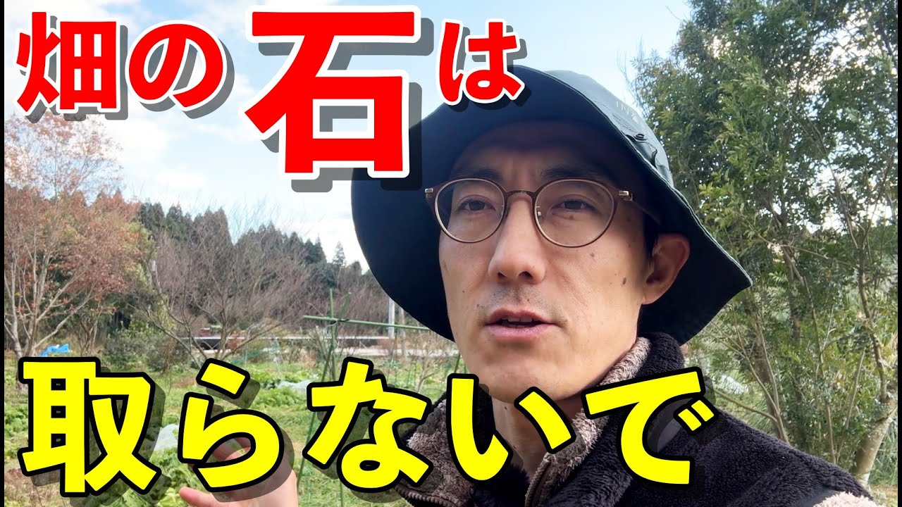 畑の石が土にもたらす５つのメリットとは