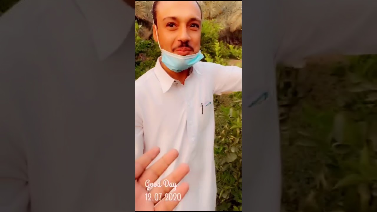 مزارع حساوي راح يذهلك .. جميع المنتجات الحساوية بمزرعة وحدة