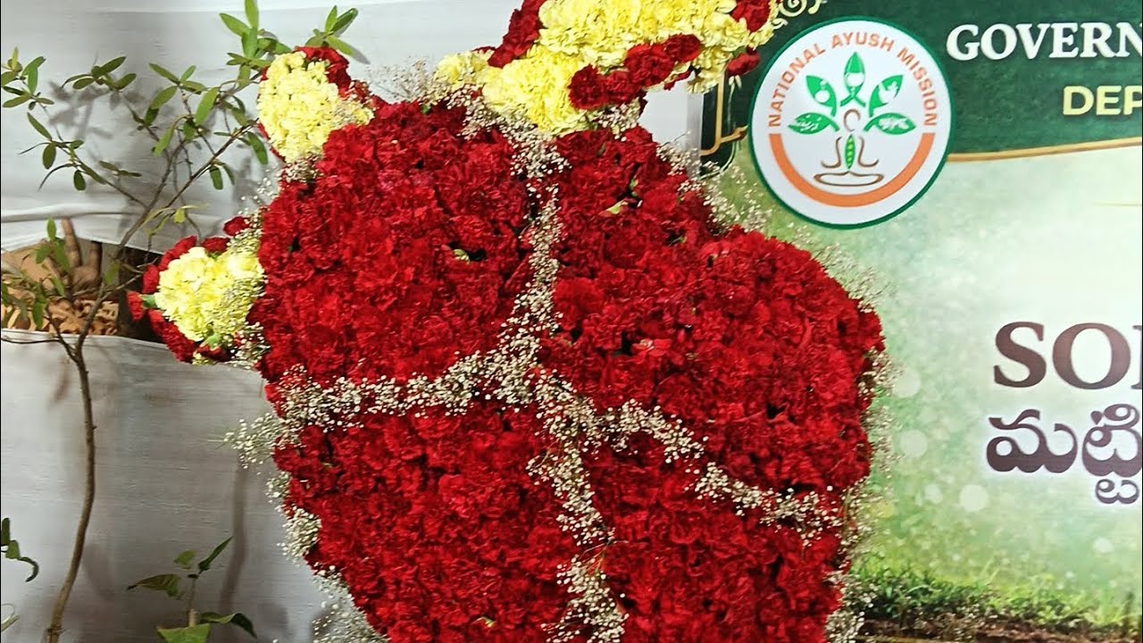 భోగి పండుగ శుభాకాంక్షలు 🔥 💥#తెలుగులైవ్
