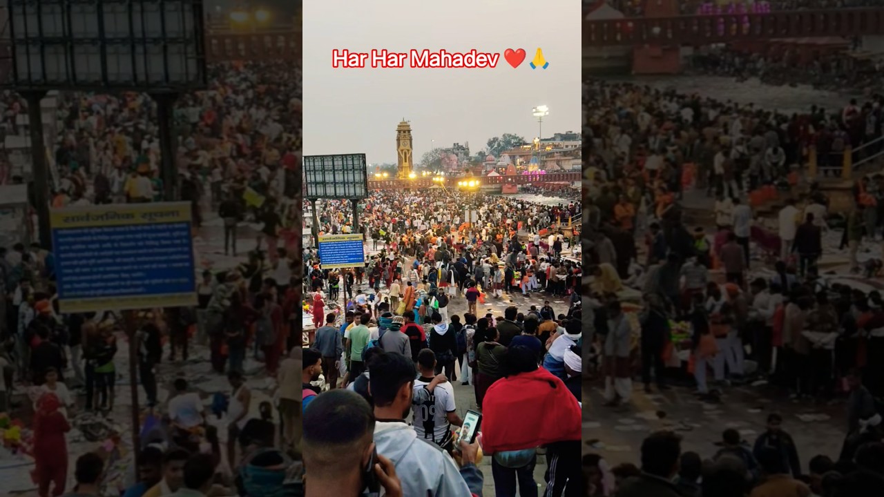 हरिद्वार कावड यात्रा ❤️🙏 #harharmahadev #haridwar #kawadyatra #shortsfeed #viralvideos #trending
