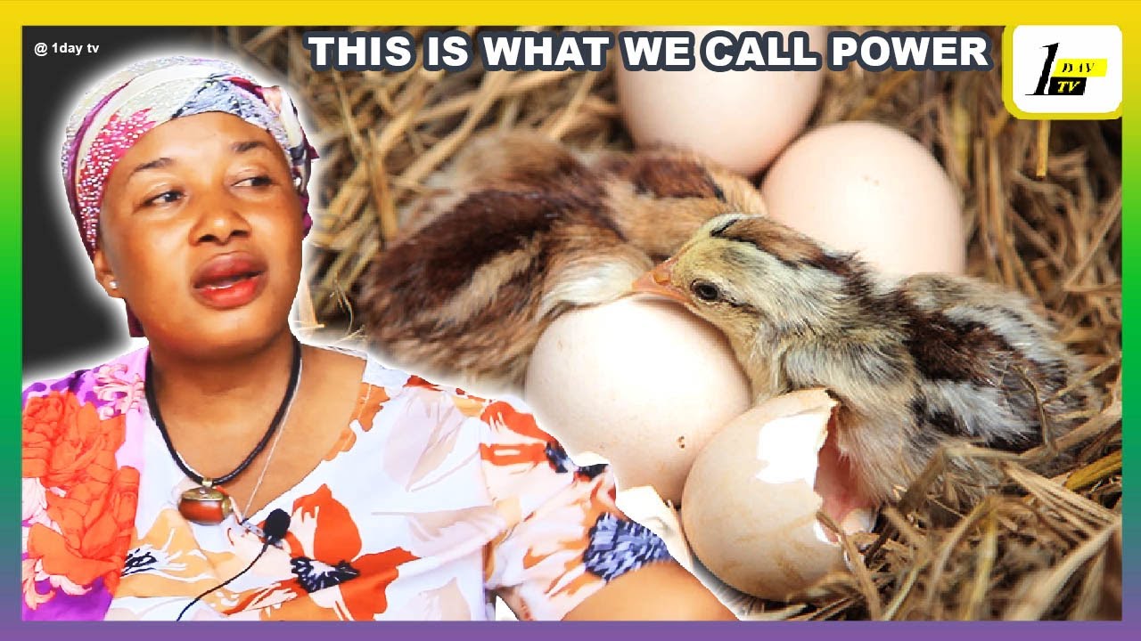 This Is Power | Do This Egg Shell Ritual For Bedianko, Commanding & Attraction | Nature Servant Expo