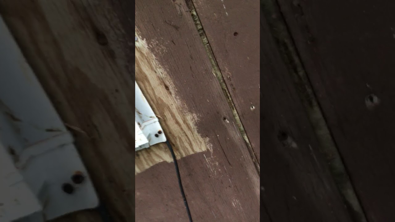 Nā Nalo Meli ma ka paia o ke hoa #2