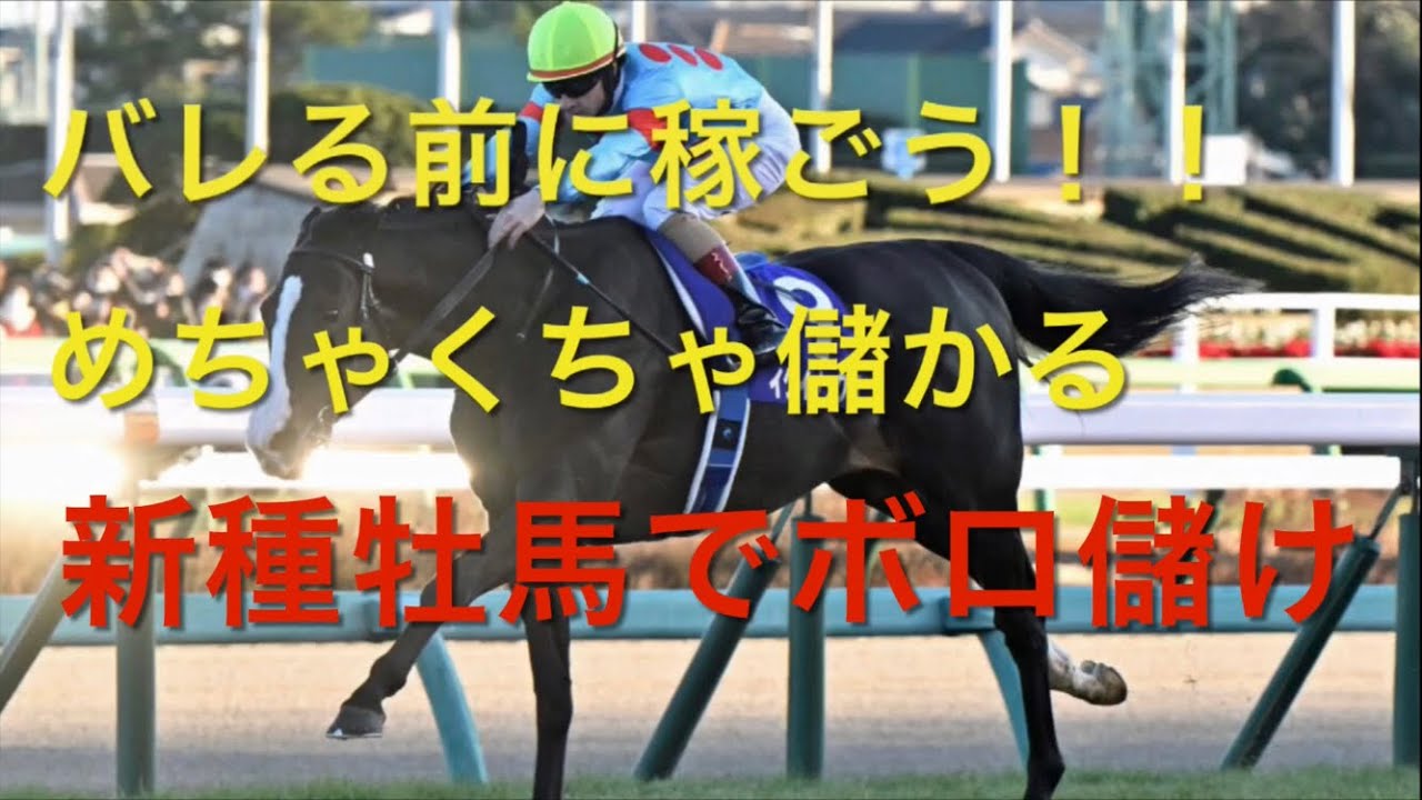 【競馬】バレる前に稼ごう！！めちゃくちゃ儲かる種牡馬を買えば勝てる説【金杯2023】
