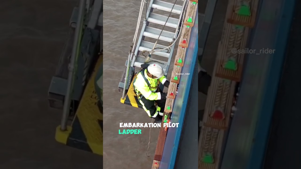 Pilot Boarding Operation &mdash; Bridge Communication & Pilot Ladder Safety ⚓ #shorts  #navigation #pilot