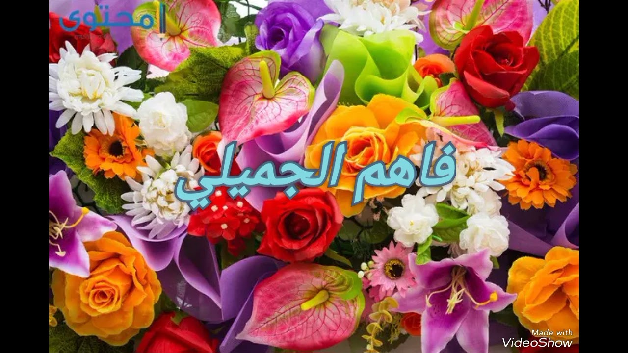 المطرب فاهم الجميلي حبيبي احجيلي بس لا ضم عليه