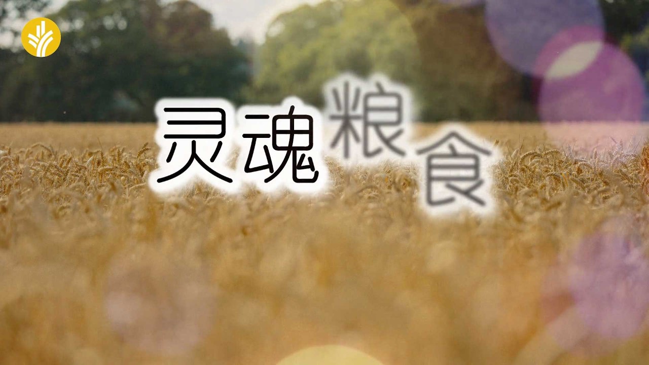 3月17日《灵命日粮》文章视频-灵魂粮食