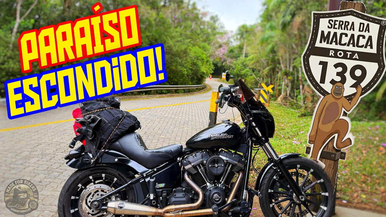 FUI ATÉ CURITIBA PELA SERRA DA MACACA DE HARLEY!