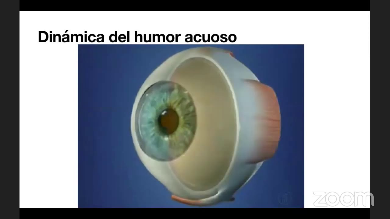 Dinámica de humor acuoso y presión intraocular