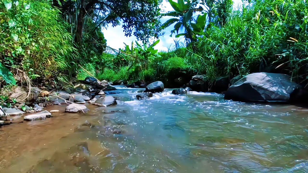 Mountain River Flow for Quiet Nights