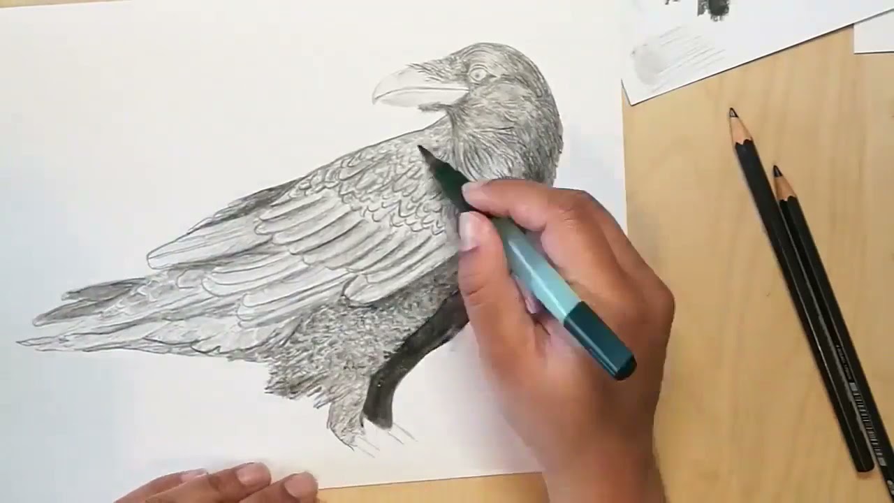 Faber Castell Graphite Aquarelle