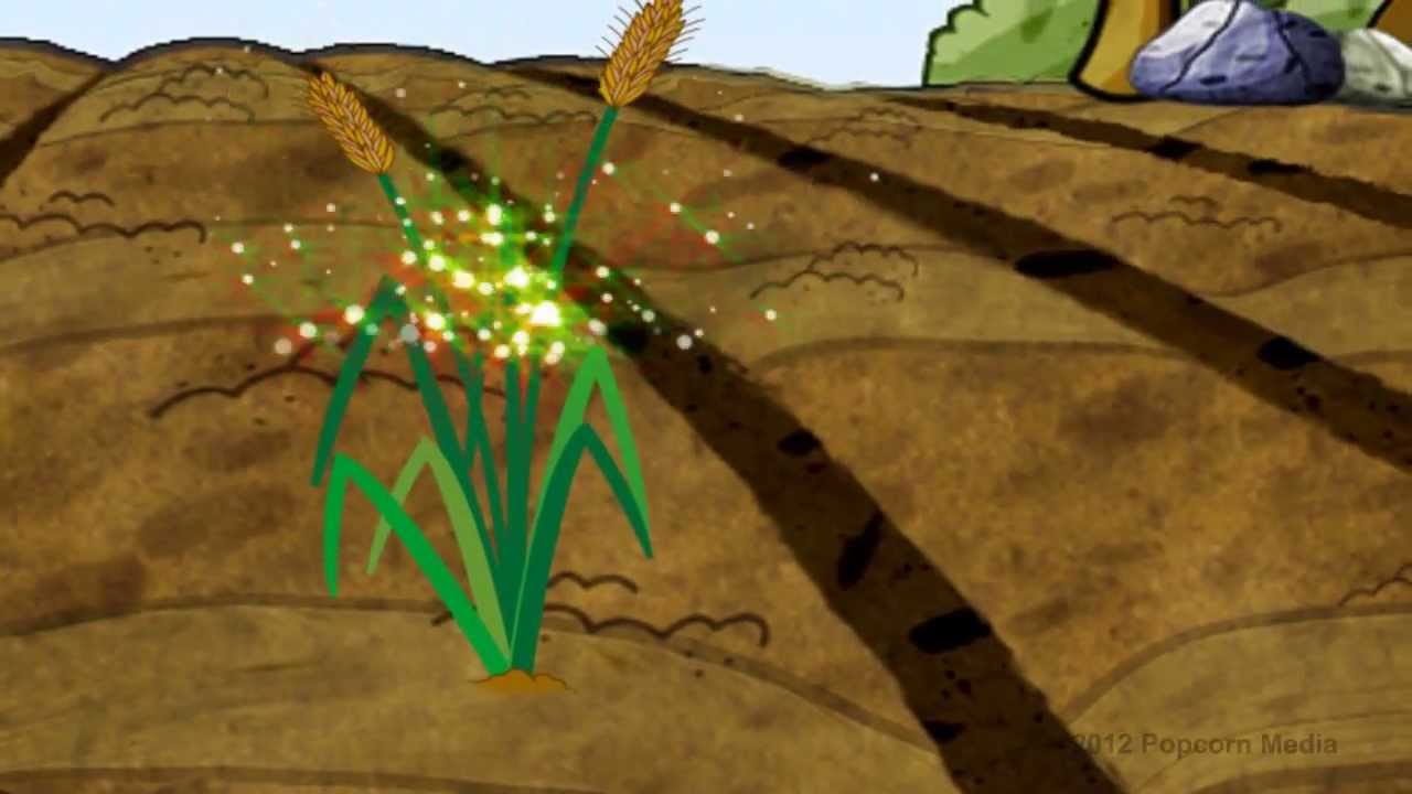 Title Animation 