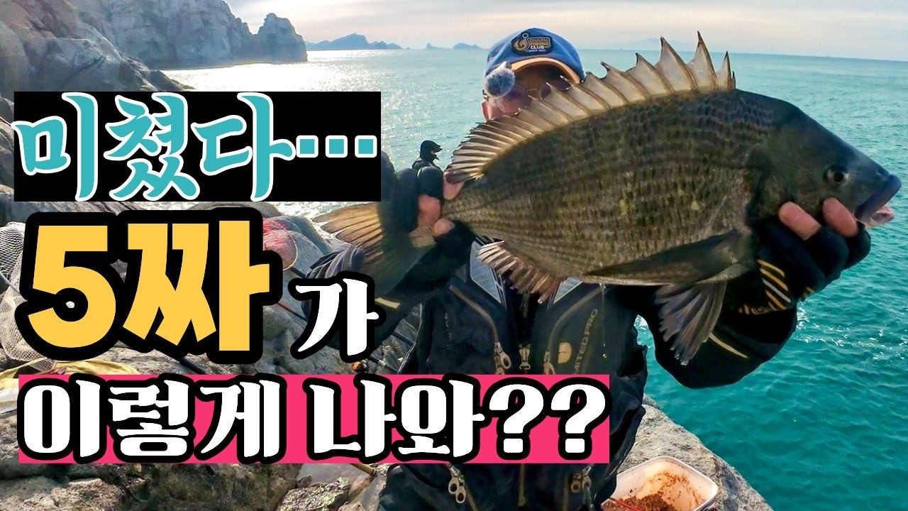 🐟추자도 갯바위에서 5짜 감성돔 터졌습니다!!🔥추자도 직구도 기차바위포인트🎣 #감성돔낚시 #추자도 #갯바위낚시 #대물감성돔