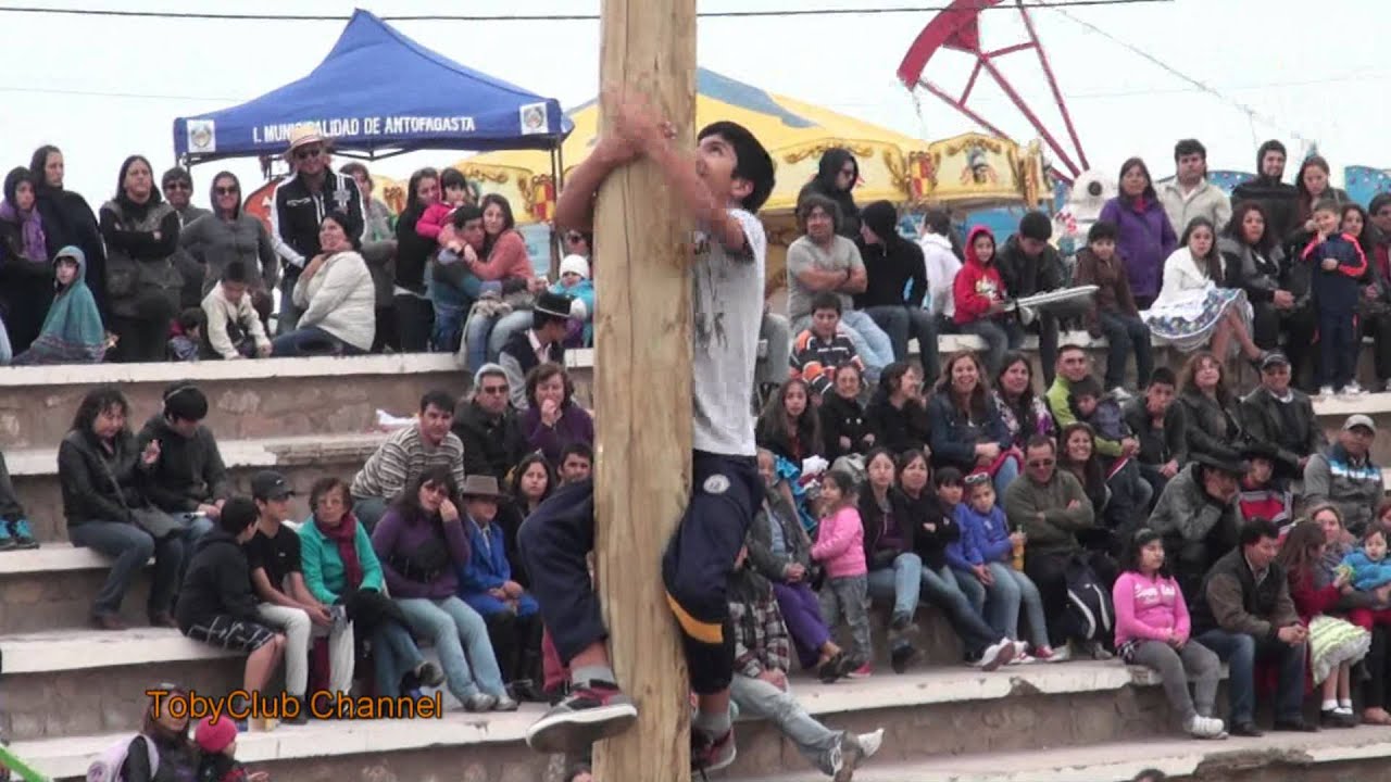 PALO ENCEBADO