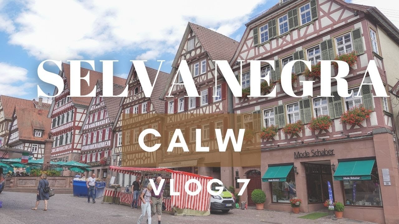 VLOG132. SEGUIMOS DE RUTA POR LA SELVA NEGRA🇩🇪 CALW 🌳🏠