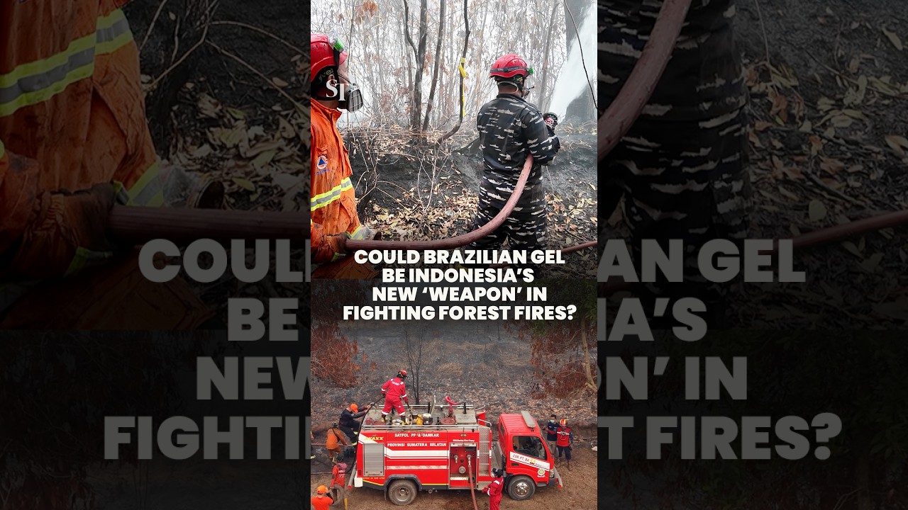 On the ground in Indonesia: Could Brazilian gel be new &lsquo;weapon&rsquo; in fighting forest fires and haze?