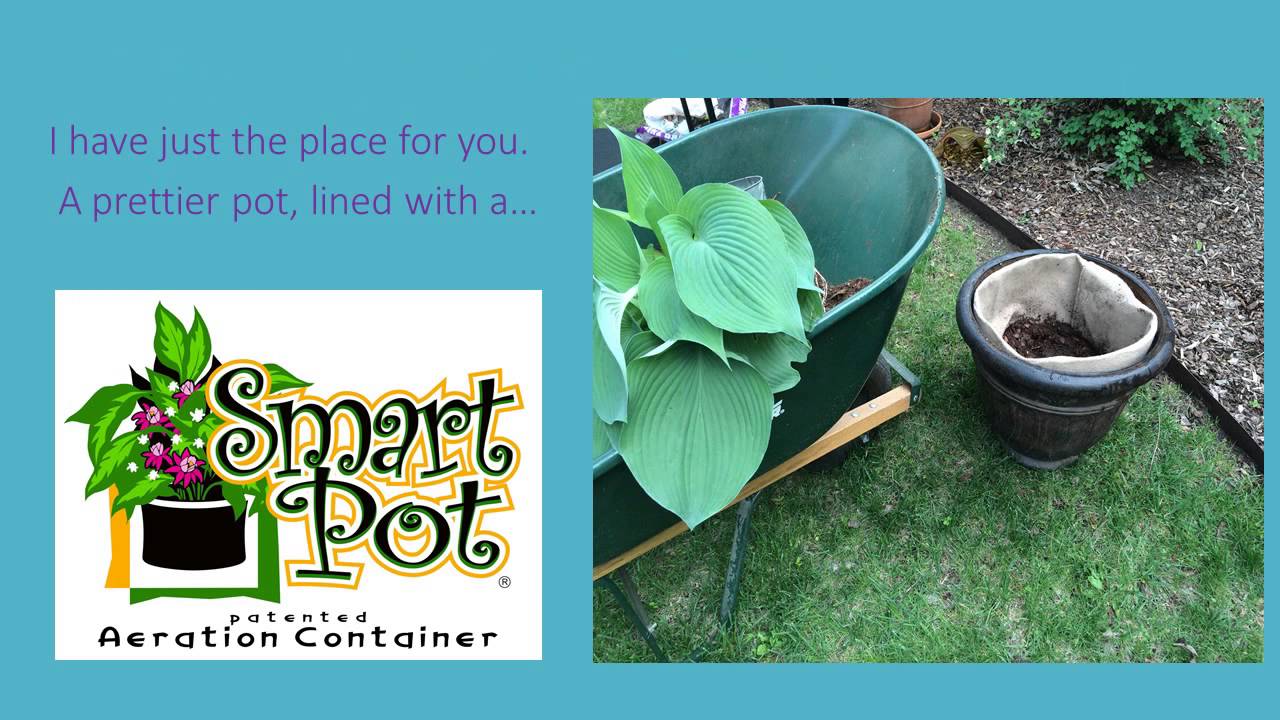 Smart Pot Oranmentals