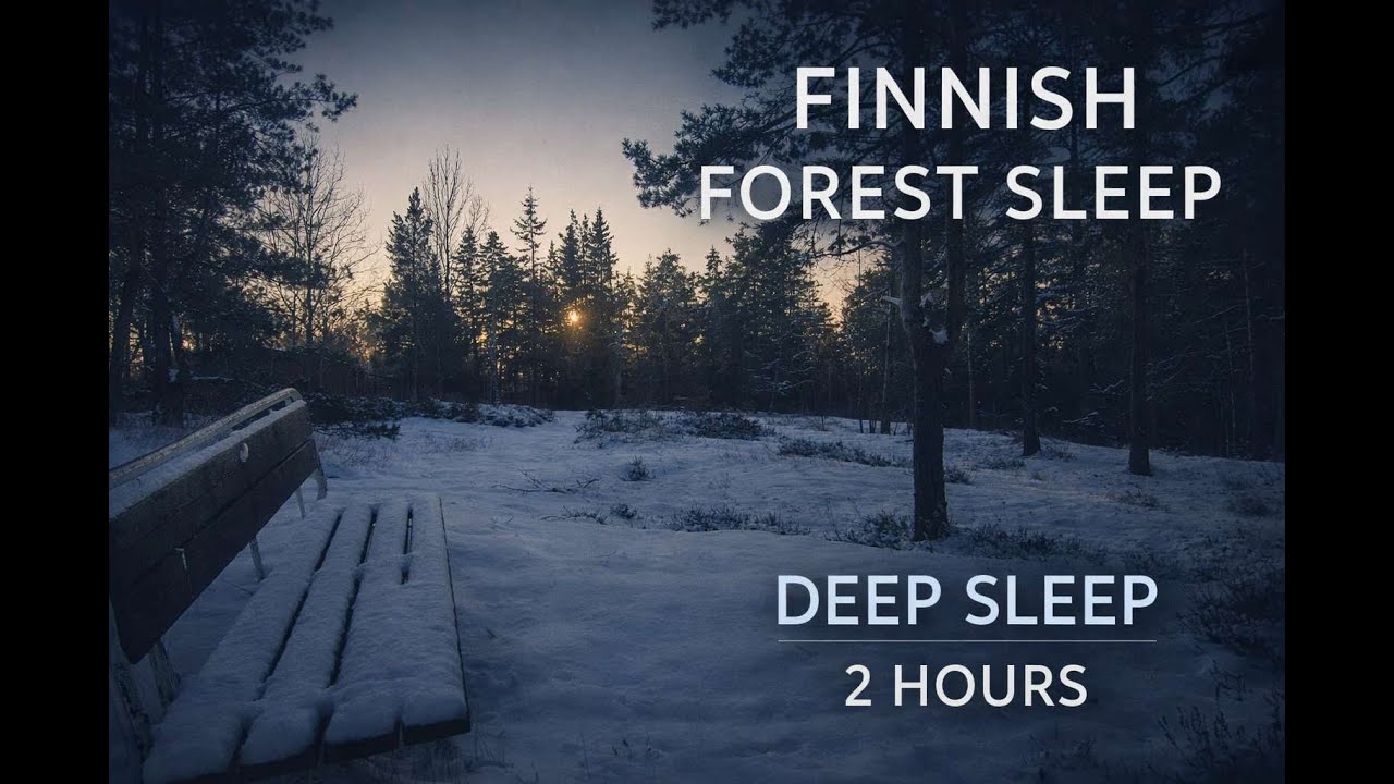 Finnish Forest Sunset for Deep Sleep 🌲❄️ Calm Ambient Music | 2 Hour Loop