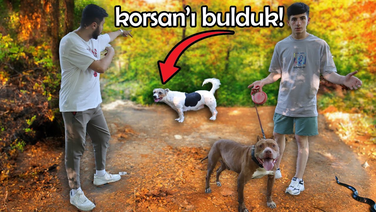 BOYKA İYİLEŞTİ ! - (KORSAN'I BULDUK)