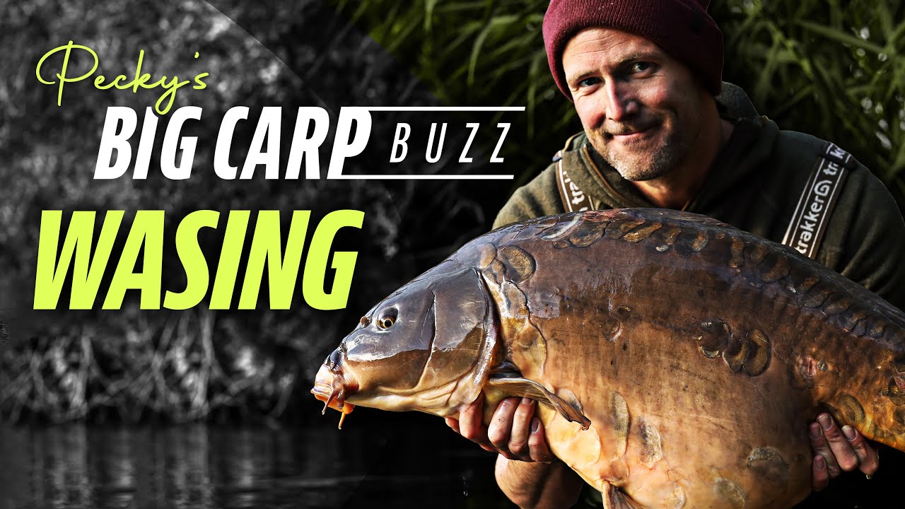 Darrell Pecks Big Carp Buzz - Wasing Estate, Oxlease (Chasing Monster Carp) | Korda 2021