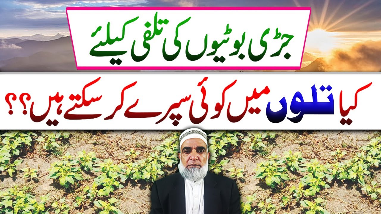 Which herbicide can be used on Sesame (Till) crop || Crop Reformer