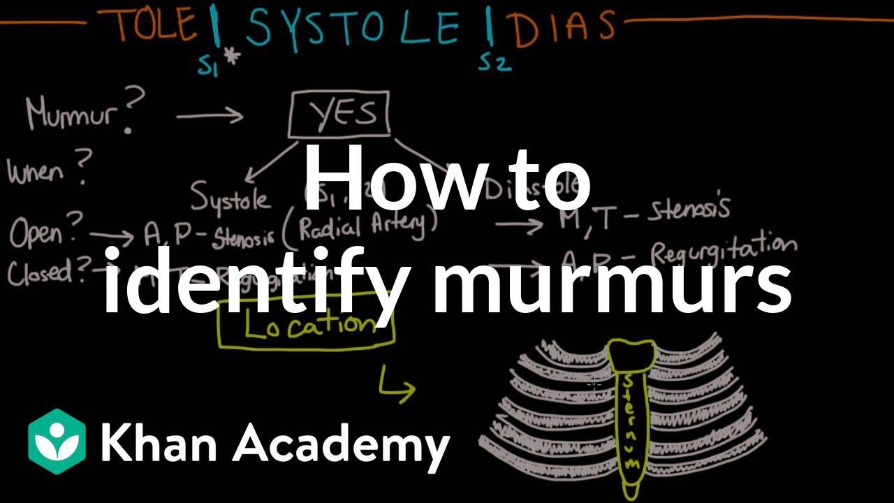 How to identify murmurs | Circulatory System and Disease | NCLEX-RN | Khan Academy
