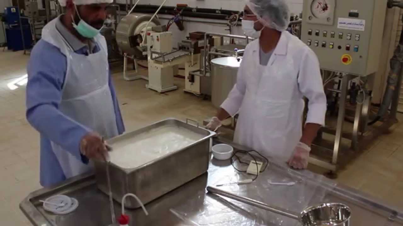 طريقة صناعة الجبن