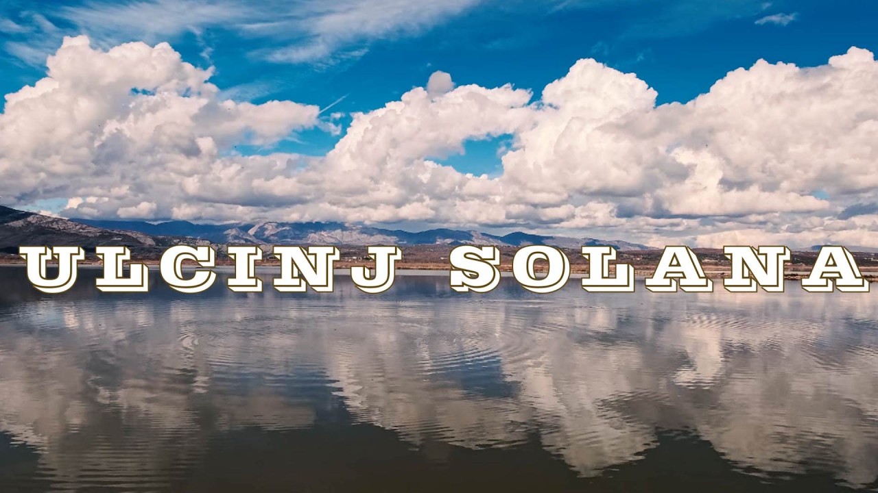 Ulcinj Salt Pans -  Birds and flamingo - Ada Bojana island - Montenegro - January 2026