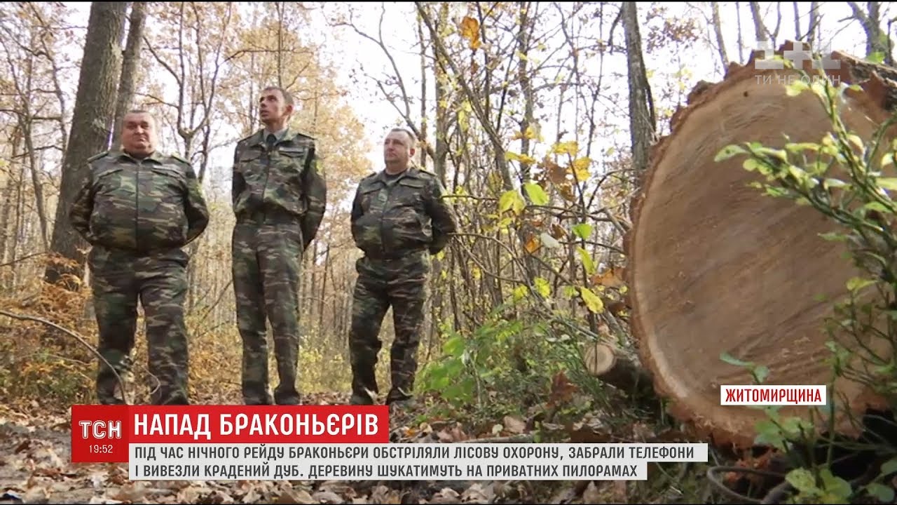 Крадіжка з стріляниною: браконьєри обікрали лісову охорону на Житомирщині