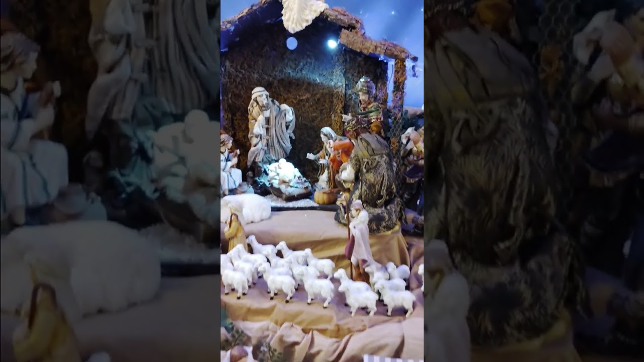 Nacimiento2024 #Belén#nativity#pesebre