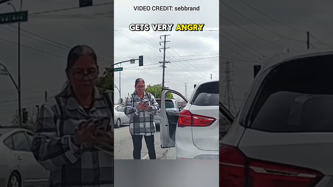 Karen Road Rager Embarrasses Herself On Dashcam!