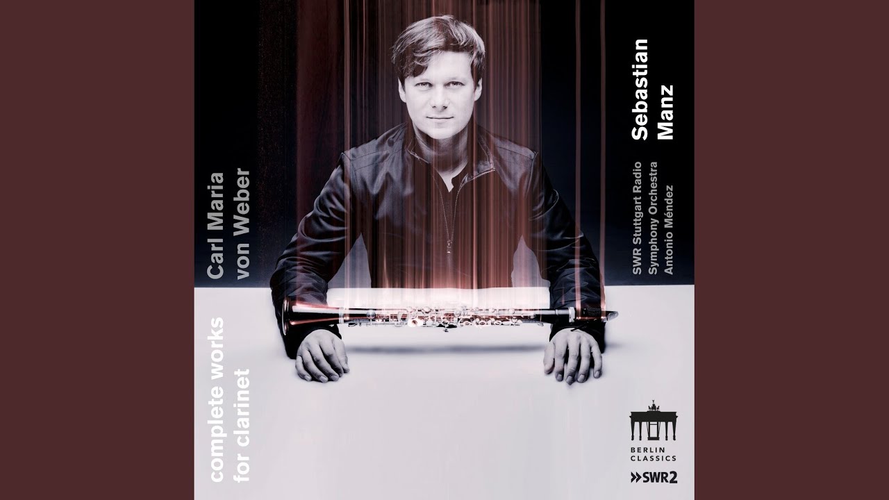 Grand duo concertant, Op. 48: II. Andante con moto