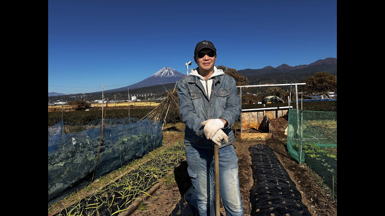 Productive Day on the Farm PART 1 | Weeding Onions, Picking Peppers & New Plots