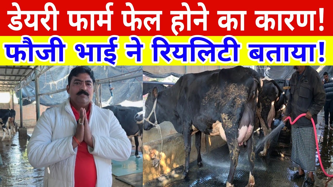 फौजी भाई ने कहा कि 4 कारणों से डेयरी बंद होता है देखें क्या है कारण/success dairy farm varanasi up |
