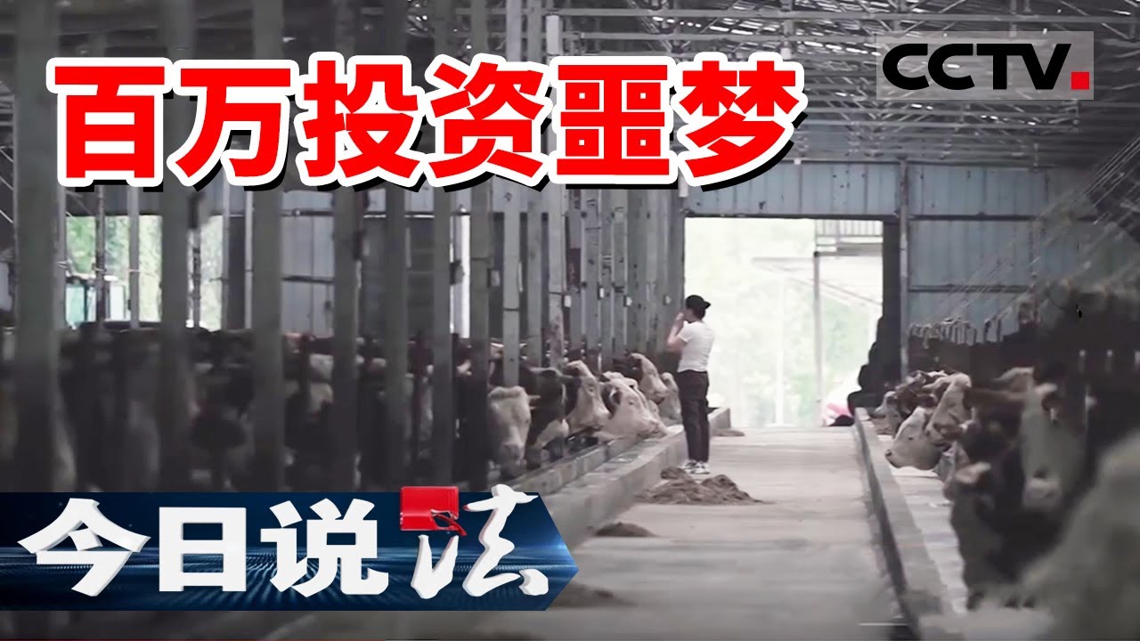 《今日说法》一束玫瑰花 一支口红 四川民营企业家不惜“为爱”投资数百万！20240912 | CCTV今日说法官方频道