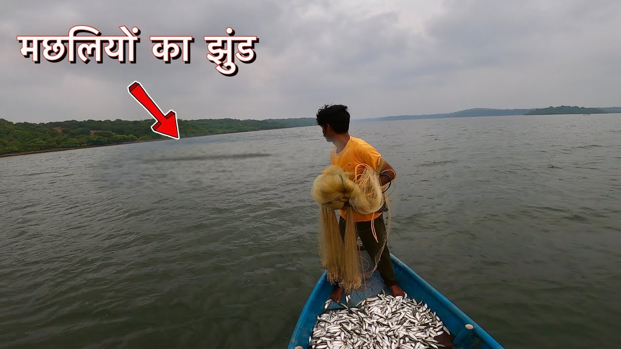 traditional sardine fishing with cast net || @bablusolkar