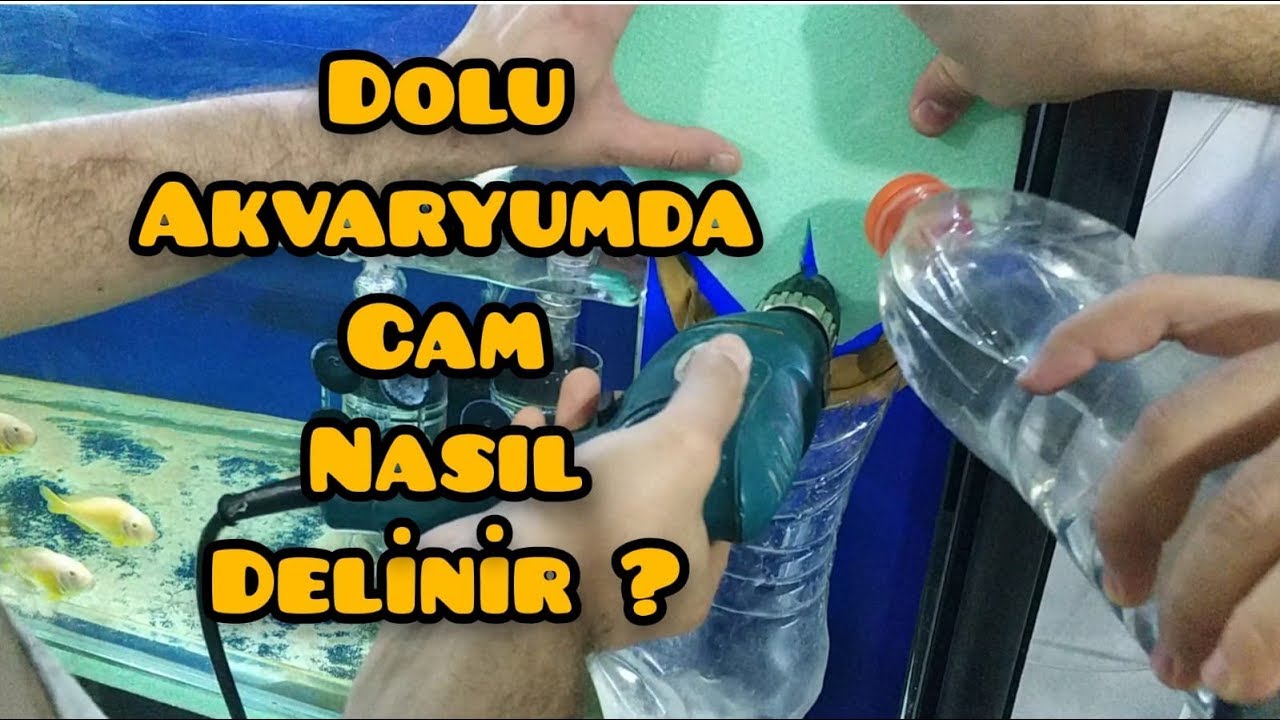 Dolu akvaryum camı nasıl delinir ? Boşaltma için cam deldik. How to drill glass in a full aquarium ?