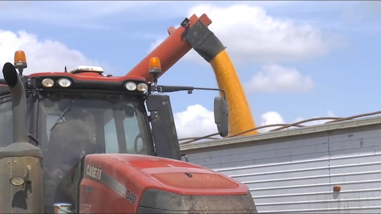 Georgia Farmers Face Tough Times: Low Prices, High Costs & Storm Damage in 2024