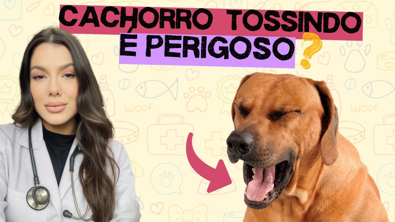 Meu cachorro tosse como se estivesse engasgado, é perigoso?
