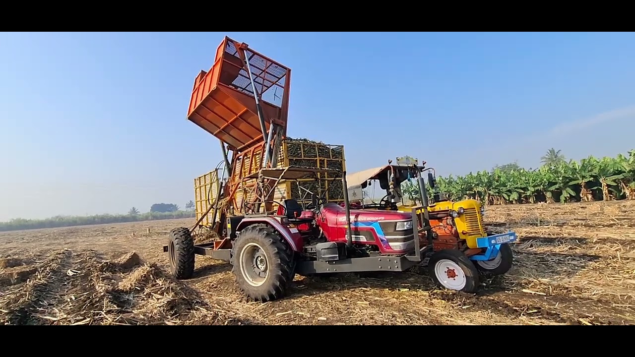 Sugarcane harvester  S FAAM  kolhapur new model BS6