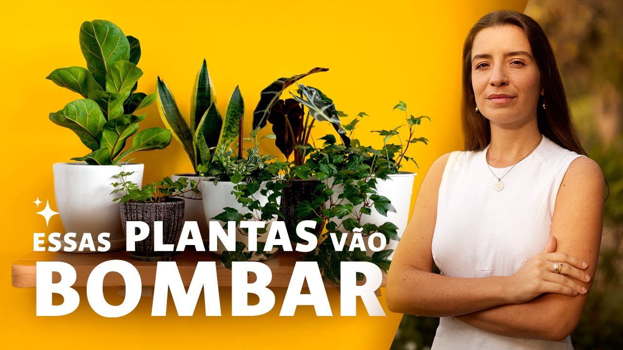 Plantas de Interior 2026 | O que o Vastu Shastra diz sobre as tendências